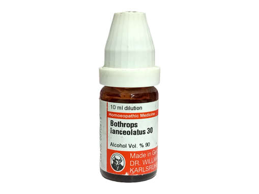 Picture of Bothrops Lanceolatus 30 10ml Pot