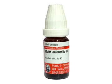 Picture of Blatta Orientalis 30 10ml