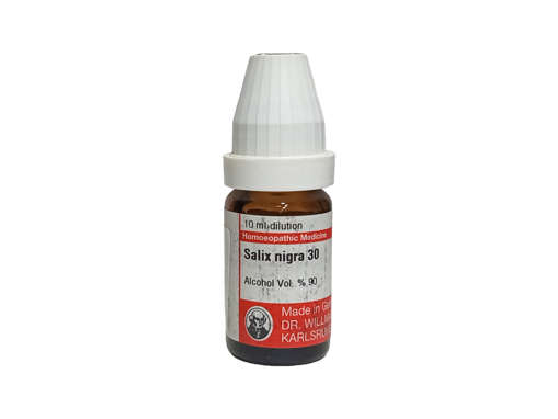 Picture of Salix Nigra 30 10ml Pot