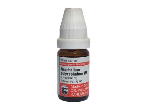 Picture of Gnaphalium Polycephalum 1m 10ml Pot