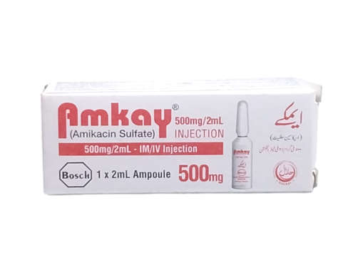 Picture of Amkay 500mg Inj 1s